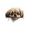 Pekingese Dog Kiss-Cut Sticker - Perfect for Pet Lovers & Laptop Decor - Image 2