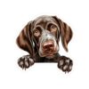 German Shorthaired Pointer Dog Kiss-Cut Sticker - Perfect for Pet Lovers & Laptop Decor - Image 2