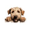 Soft Coated Wheaten Terrier Dog Kiss-Cut Sticker - Perfect for Pet Lovers & Laptop Decor - Image 2