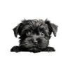Affenpinscher Dog Kiss-Cut Sticker - Perfect for Pet Lovers & Laptop Decor - Image 2