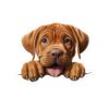 Dogue de Bordeaux Dog Kiss-Cut Sticker - Perfect for Pet Lovers & Laptop Decor - Image 2