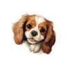 Cavalier King Charles Spaniel Dog Kiss-Cut Sticker - Perfect for Pet Lovers & Laptop Decor - Image 2