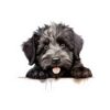 Bouvier des Flandres Dog Kiss-Cut Sticker - Perfect for Pet Lovers & Laptop Decor - Image 2
