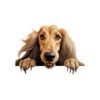 Afghan Hound  Dog Kiss-Cut Sticker - Perfect for Pet Lovers & Laptop Decor - Image 2