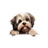 Lhasa Apso Dog Kiss-Cut Sticker - Perfect for Pet Lovers & Laptop Decor - Image 2