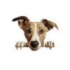 Whippet Dog Kiss-Cut Sticker - Perfect for Pet Lovers & Laptop Decor - Image 2