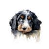 Bernedoodle Dog Kiss-Cut Sticker - Perfect for Pet Lovers & Laptop Decor - Image 2