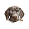 Weimaraner Dog Kiss-Cut Sticker - Perfect for Pet Lovers & Laptop Decor - Image 2