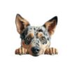 Australian Cattle Dog Kiss-Cut Sticker - Perfect for Pet Lovers & Laptop Decor - Image 2