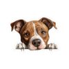 American Staffordshire Dog Kiss-Cut Sticker - Perfect for Pet Lovers & Laptop Decor - Image 2