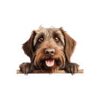 Wirehaired Pointing Griffon Dog Kiss-Cut Sticker - Perfect for Pet Lovers & Laptop Decor - Image 2