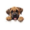Mastiff Dog Kiss-Cut Sticker - Perfect for Pet Lovers & Laptop Decor - Image 2