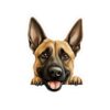 Belgian Malinois Dog Kiss-Cut Sticker - Perfect for Pet Lovers & Laptop Decor - Image 2