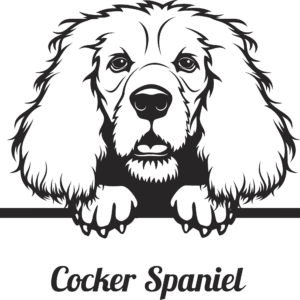 Cocker Spaniel